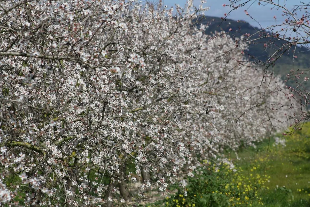139 Finca Son Sitges Etv6719 By Mallorca Charme Spain